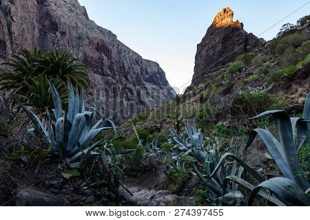Maska Ravine, Cliffs, Tenerife. Trail In The Gorge Maska