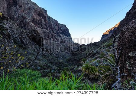 Maska Ravine, Cliffs, Tenerife. Trail In The Gorge Maska