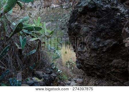 Maska Ravine, Cliffs, Tenerife. Trail In The Gorge Maska