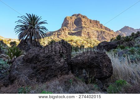 Maska Ravine, Cliffs, Tenerife. Trail In The Gorge Maska