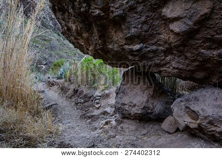 Maska Ravine, Cliffs, Tenerife. Trail In The Gorge Maska