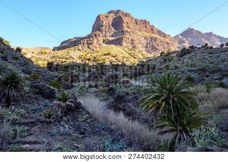 Maska Ravine, Cliffs, Tenerife. Trail In The Gorge Maska
