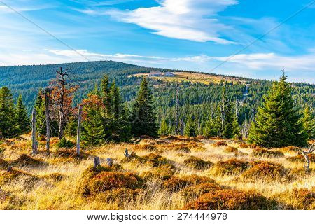 Green Forest Landscape With Velky Sisak And Vysoke Kolo Mountain, Giant Mountains, Krkonose, Czech R