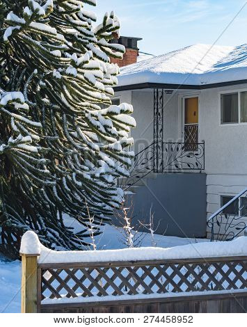 Entrance Of Residential House With Monkey Tree In Front. Family House In Snow On Winter Season