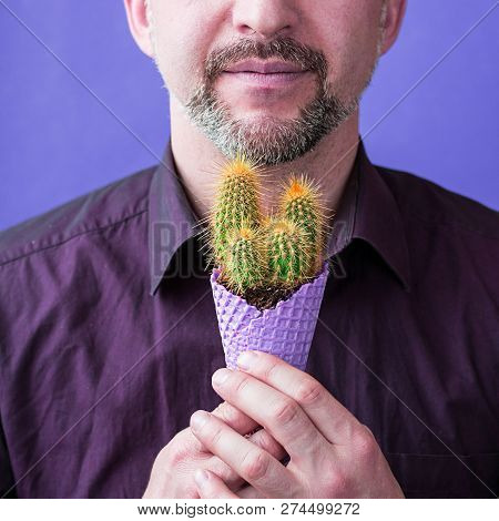 Men In Violet Shirt With Beard Holds In Hands Violet Corn With Green Cactus With Yellow Needles Inst