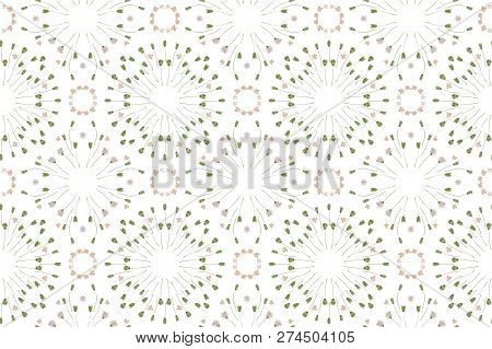 Pressed And Dried Flowers Fragility Isolated On White Background
