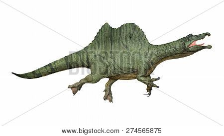 3D Rendering Dinosaur Spinosaurus On White
