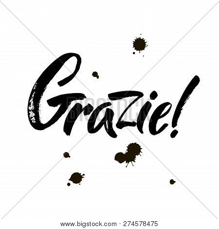 Grazie - Thank You In Italian. Calligraphy Inscription, Black Word On White Background. Handwritten 