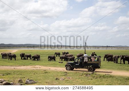 Kaudulla National Park, Sri Lanka - August 16, 2018: Tourists Watching A Group Of Elephants From A J
