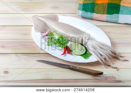 Fresh Squid With Lemon And Parsley. Whiteraw Squid Seafood Or Fresh Squid Display For Sale At Wet Ma