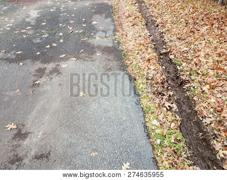 Muddy Tire Track In Fallen Leaves With Black Asphalt