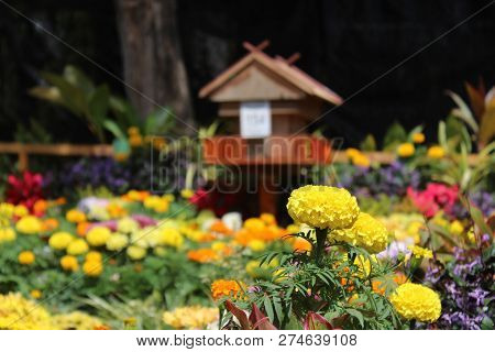 Tenom, Sabah- July 2018 :
Blurred Scene Of The Bee House
