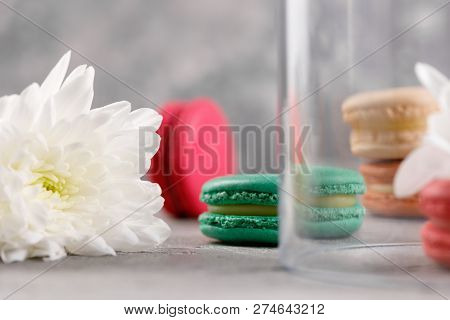 Multi-colored Macarons Under A Glass Dome On A Gray Background With Chrysanthemum Flowers.