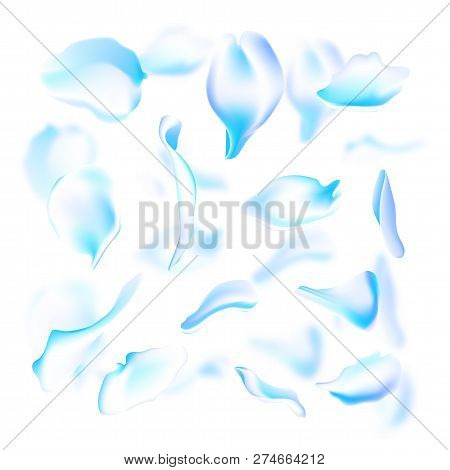 Vector Set Of Blue Falling Rose And Sakura Petals. Blurred Spring Blossom Petal Set With Decorative 