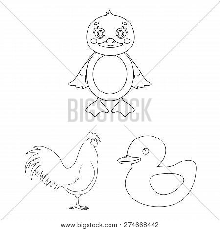 Vector Illustration Of Funny And Poultry Symbol. Collection Of Funny And Farming Stock Symbol For We
