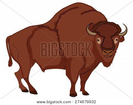 Animal Artiodactyl, Bison, Cow. Comic Book Style Imitation. Object On White Background.