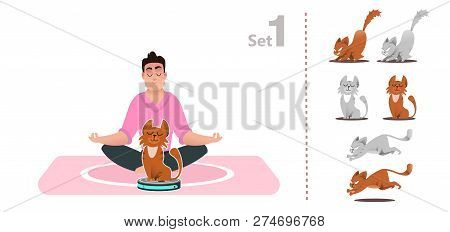Cat Plays With A Vacuum Cleaner, Rides A Smart Vacuum Cleaner, Hunts Moving Household Appliances. Se
