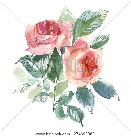 Vintage Flower Overwhite Background. Wedding Flowers Bundle. Flower Of Watercolor Detailed Hand Draw