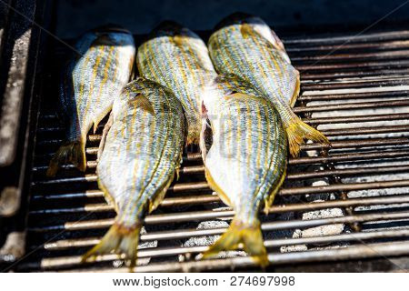 Grilling Fish On A Bbq Barbecue Grill Over Hot Coal. Preparing And Roasting Salema Porgy, Sarpa Salp