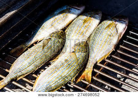 Grilling Fish On A Bbq Barbecue Grill Over Hot Coal. Preparing And Roasting Salema Porgy, Sarpa Salp