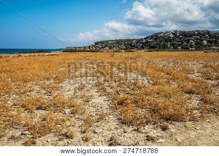 Desert Pasture Mediterranean Sea Dry Grass Blue Sky