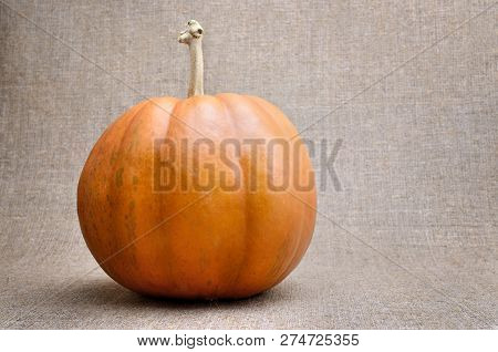 A Large, Ripe Pumpkin Against A Rough Fabric Background.