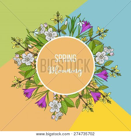 Spring Blossom Card With Apple Branch, Crocus And Forsythia, Vector Illustration