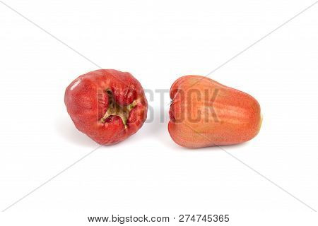 Front Focus Rose Apples Or Chomphu Isolated On White Background.
