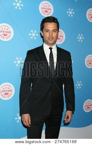 LOS ANGELES - NOV 14:  Stephen Colletti at the 