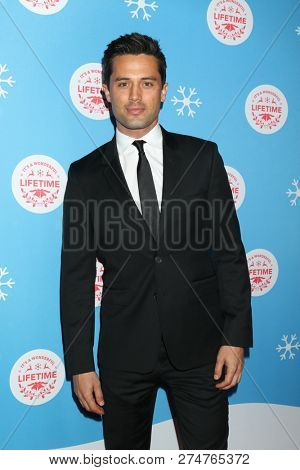 LOS ANGELES - NOV 14:  Stephen Colletti at the 
