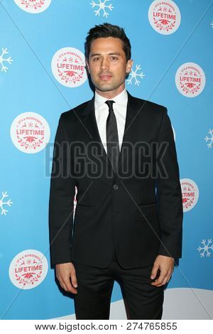 LOS ANGELES - NOV 14:  Stephen Colletti at the 