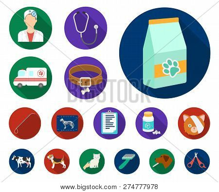 Veterinary Clinic Flat Icons In Set Collection For Design. Treatment Of A Pet Vector Symbol Stock We