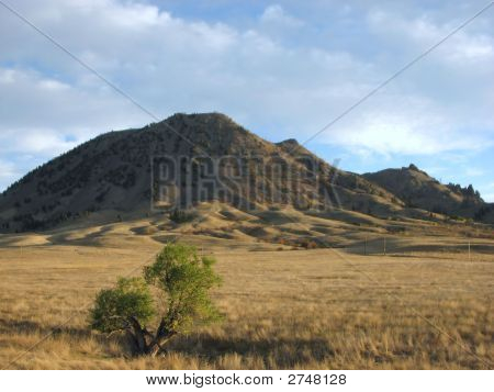 BearButte