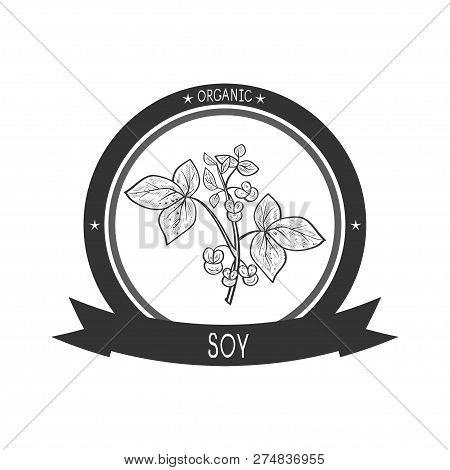 Soy. Plant. Stem, Leaves, Flowers. Sketch. Monophonic. Logo, Emblem.
