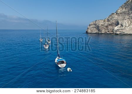 A Flotilla Of Sailing Yachts Out Of The Bay.