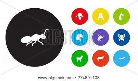 Set Of 10 Alive Icons Set. Collection Of Goat, Ant, Penguin And Other Elements.
