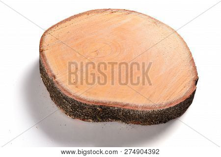 Big Tree Truck Slices Cut Out On White Background