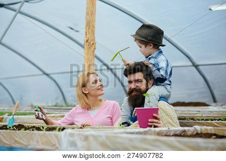 Seedbed. Family Working In Seedbed. Modern Seedbed. Seedbed Or Greenhouse Workers. Loving Their Busi