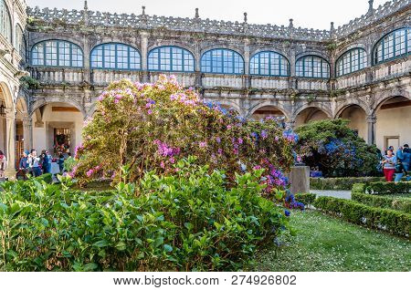 Santiago De Compostela, Spain - April 3, 2015: Exhibition Of Camelia Flowers In The Cloister Of The
