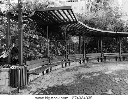 Residential Buildings And In The Courtyard Benches Surrounded With Green Plants In  Rishon Le Zion.
