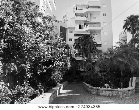 Residential Buildings And Surrounded With Green Plants In  Rishon Le Zion.