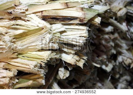Residue From Sugar Cane Juice And Rest From The Juice Of Sweet Water Was Removed, Waste Of Sugarcane