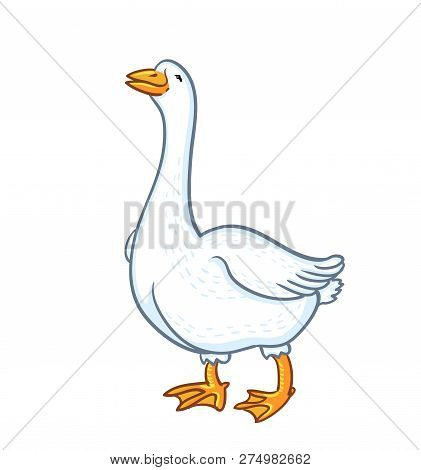 White Goose Isolated On White Background. Cartoon Funny Goose, Sketch Feathered Farm Animal