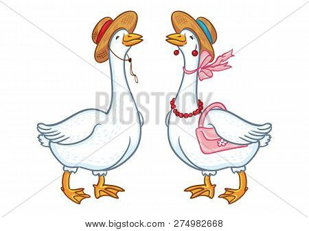 Pair Of Geese With A Hat, Sketch On A White Background, Cartoon Funny Goose, Poultry Domestic Nature