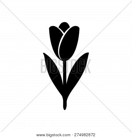 Tulip Icon. Tulip Silhouette. Hand Drawn Style Vector Design Illustrations