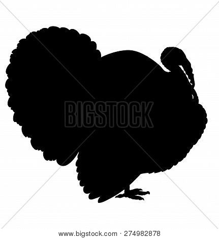 Turkey Silhouette Isolated On The White Background