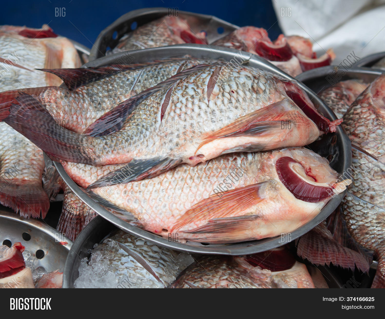 Fresh Tilapia Fish Image & Photo (Free Trial) Bigstock