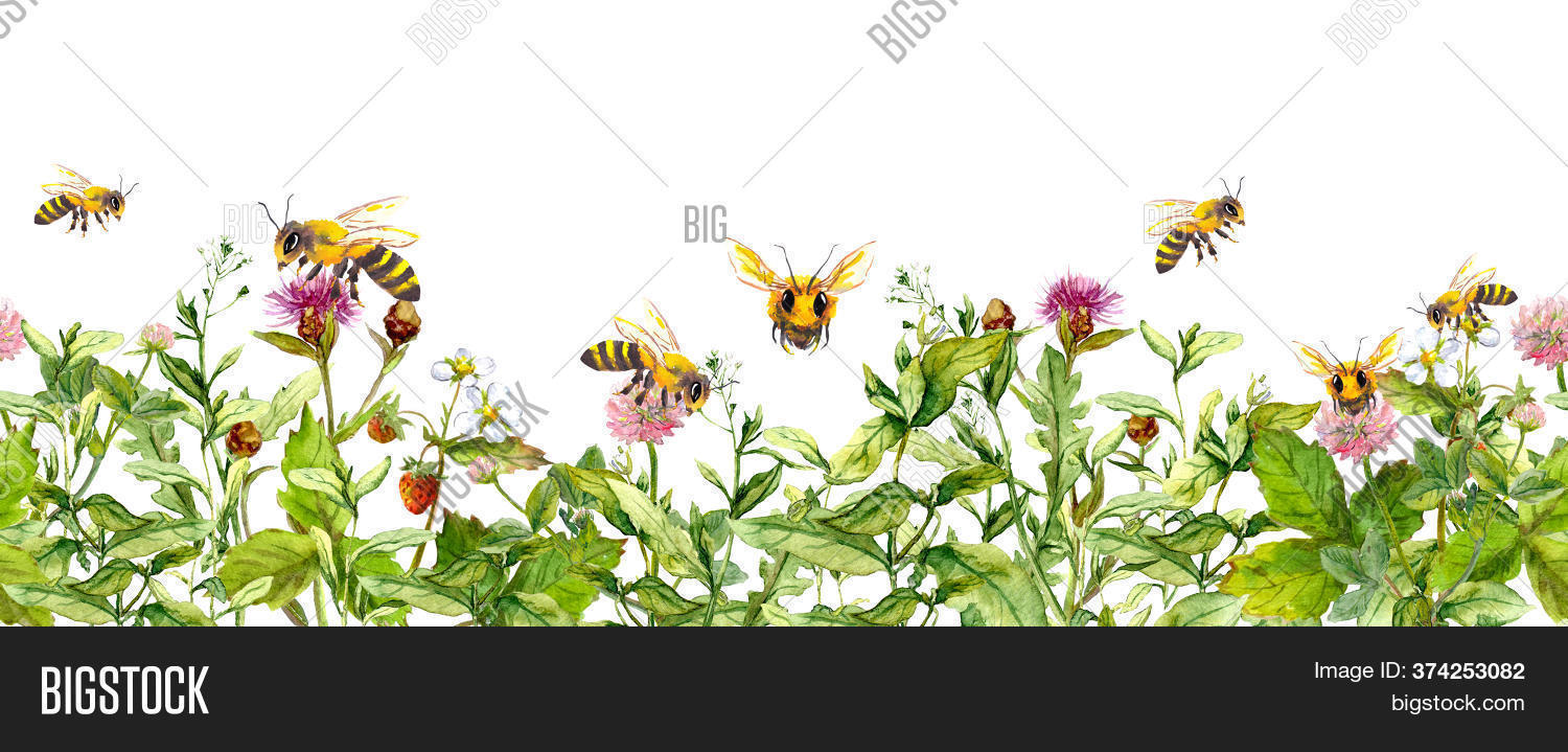 Honey Bees Meadow Image & Photo (Free Trial) Bigstock