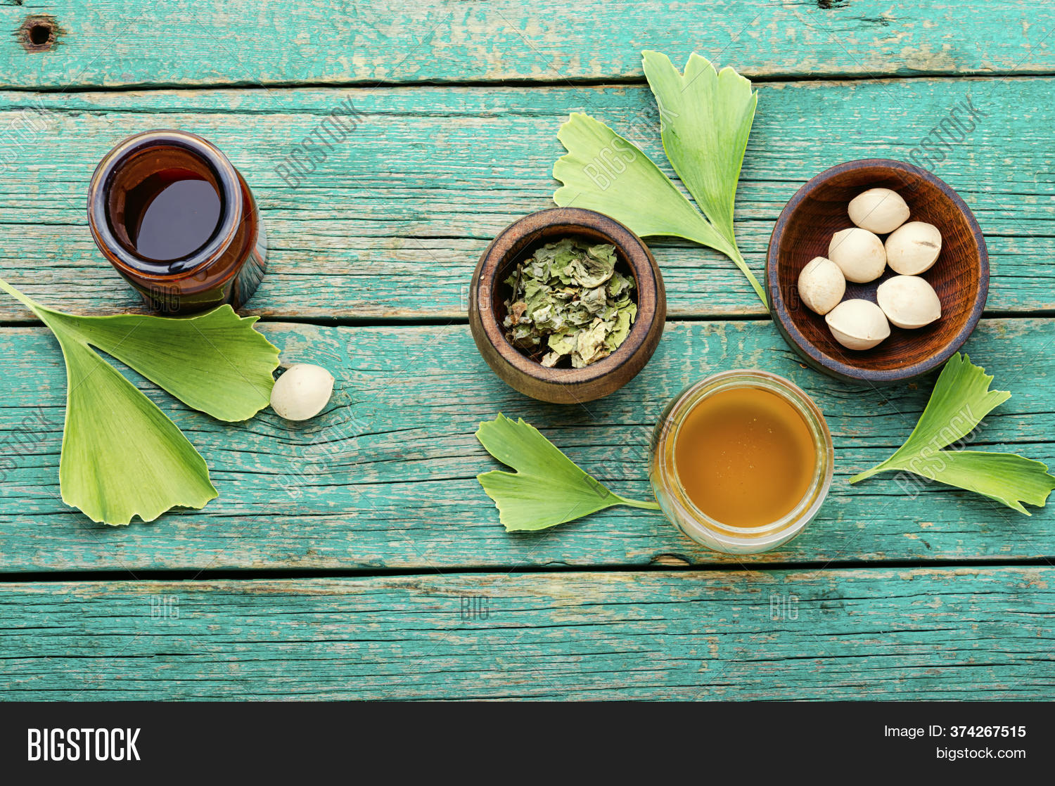 Ginkgo Biloba Herbal Image & Photo (Free Trial) Bigstock