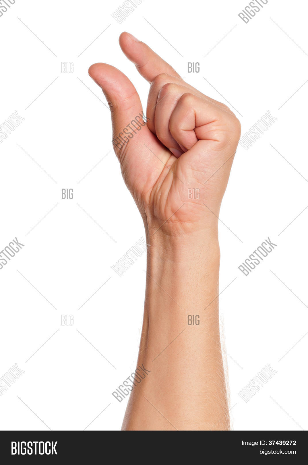 이미지 및 사진(무료 체험) | Bigstock